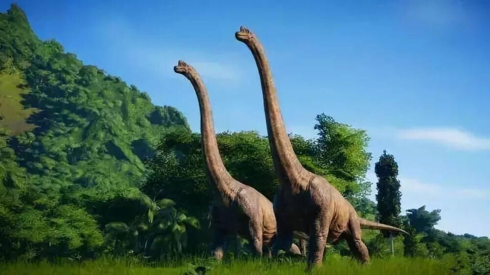 China's longest-necked dinosaur - Mamenchisaurus