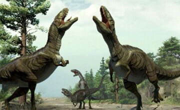 Ultrasaurus——The world's tallest and heaviest dinosaur
