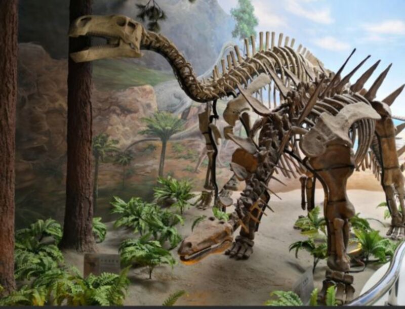 Formation of dinosaur fossils: