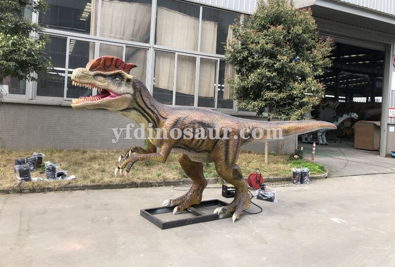 Dilophosaurus animatronic model by Yifeng dinosaur