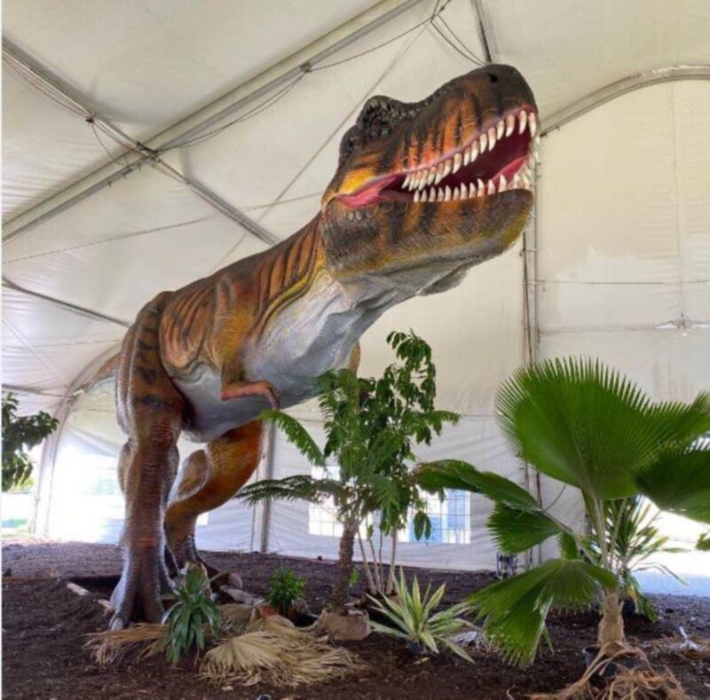 Outdoor dinosaur robot Animatronic Dinosaur Model For sale