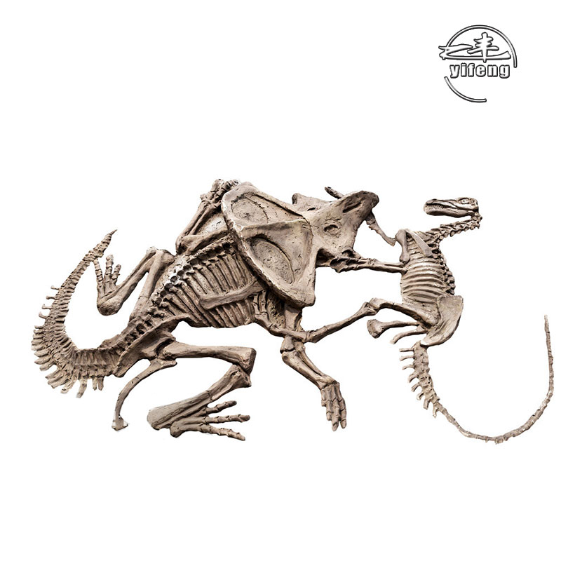 Dinosaur Park Simulation Dinosaur real Skeleton Trex Dinosaur fossil For Sale