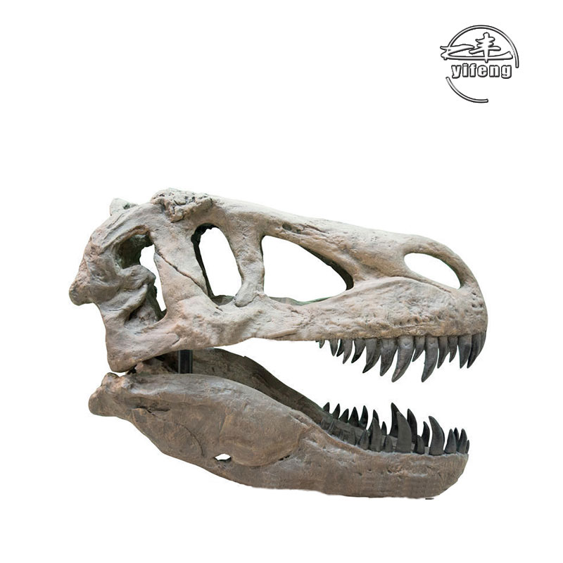 Dinosaur Park Simulation Dinosaur real Skeleton Trex Dinosaur fossil For Sale