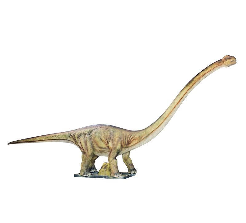buy realistic Dinosaur Park animatronic Dinosaur Mamenchisaurus Adult Walking Dino