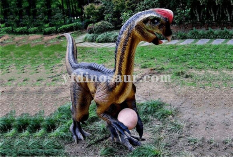 Oviraptor animatronic model by Yifeng dinosaur