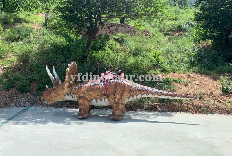 Walking Triceratops Dinosaur Ride