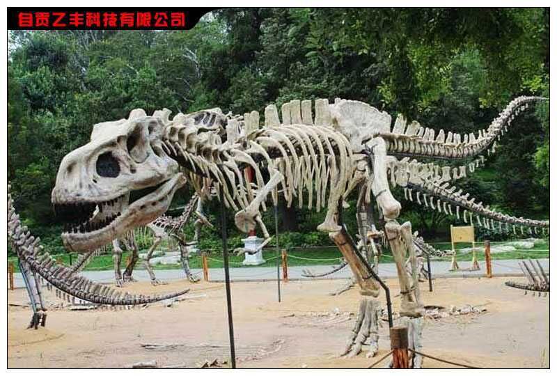 Dinosaur Skeleton