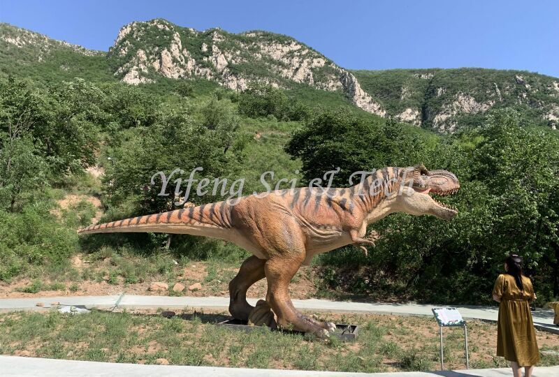 T-rex animatronic model by Yifeng dinosaur