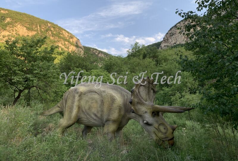 Triceratops animatronic model by Yifeng dinosaur(2)
