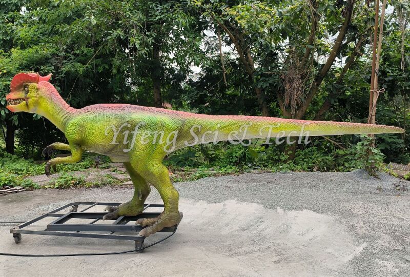 Dilophosaurus animatronic model by Yifeng dinoaur
