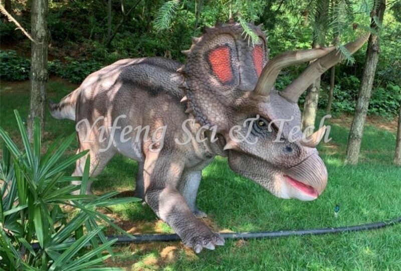 Triceratops animatronic model by Yifeng dinosaur (2)